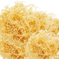 Gold Dry Sea Moss — 1KG Wholesale
